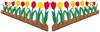 Flower Garden