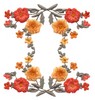 Poppy Border