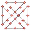 Daisy Border Square