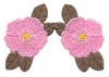 Rambling Rose Double