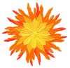 Dahlia Burst