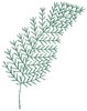 Air Fern Fronds Single