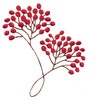 Berry Branches