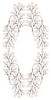 Baby's Breath Oval