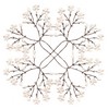 Baby's Breath Circle