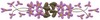 Floral Basket #1 Border