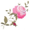Climbing Roses (larger)