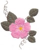 Rambling Rose (single)