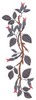 Antique Roses Border