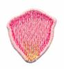 FSL - 3-D Begonia Single Petal