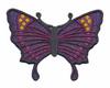 FSL - 3-D Butterfly