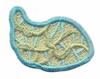 FSL - 3-D Butterfly # 2 Top Wing