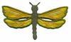 FSL - 3-D Dragonfly