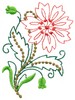 Bachelor Button Flowers