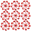 Bachelor Button Flowers 3