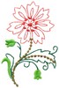 Bachelor Button Flowers 7