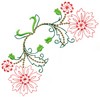 Bachelor Button Flowers 9