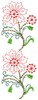 Bachelor Button Flowers 10