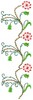 Bachelor Button Flowers 12