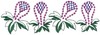 Spring Hyacinth Flowers 6