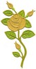 Single Stem Rose