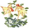 Goldfish Pair
