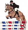 Equestrian Jumping