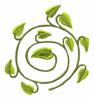 Vine Swirl