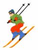 Downhill Skier