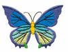 Exotic Butterfly