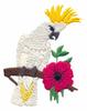 Cockatoo