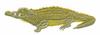 Crocodile
