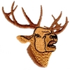 Elk Head