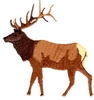 Elk