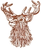 Elk Head line drawing