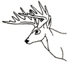 Deer Head - outline