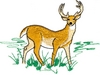 Standing Antelope