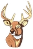 Deer Head Portrait