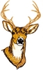 Deer Head (largest)