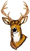 Deer Head (medium)