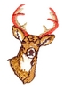 Deer Head (smaller)