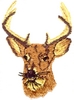 Whiskery Deer Head