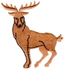 Indignant Deer