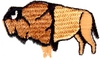 Abstract Buffalo