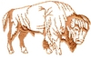 Bison outline