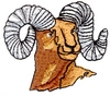 Watching Ram head