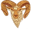 Angular Ram Head