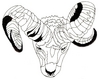 "Ram head - outline, shadows"