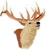 Calling Elk Head