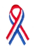 Campaign Ribbon - Flag Colors